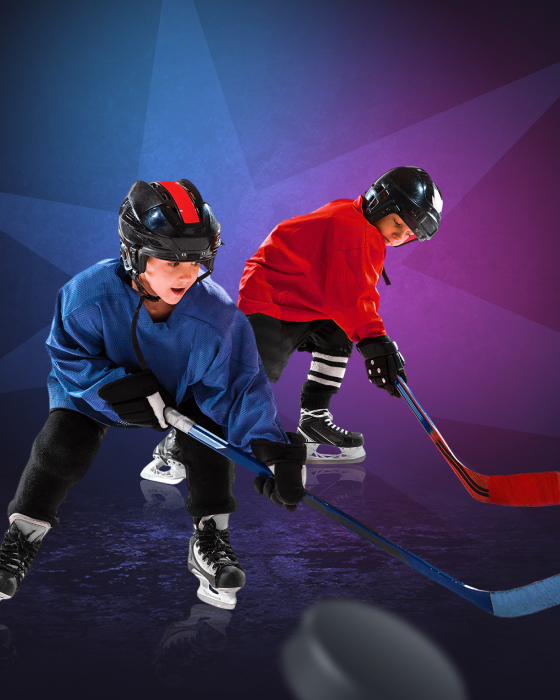 Project Искра льда